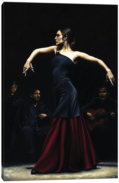 Encantado Por Flamenco Canvas Art Print - Flamenco