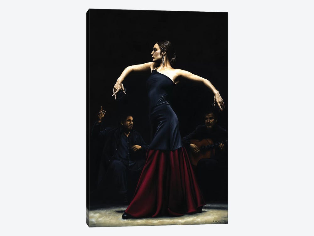 Encantado Por Flamenco by Richard Young 1-piece Canvas Artwork