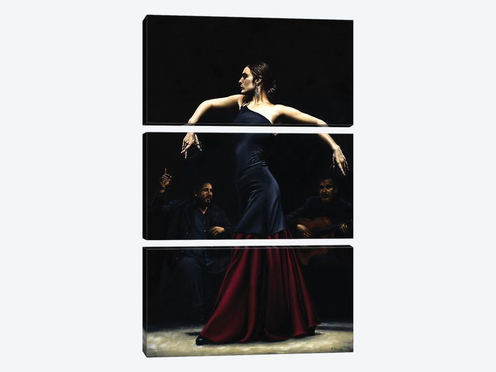 Encantado Por Flamenco by Richard Young 3-piece Canvas Wall Art