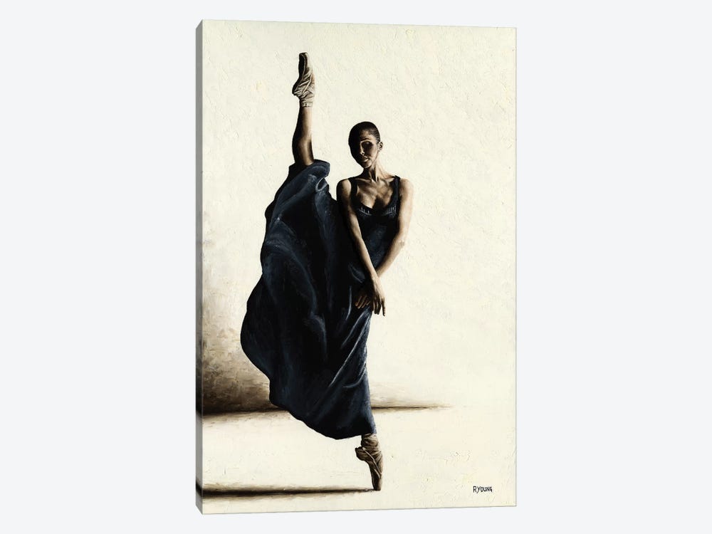 Equilibrium by Richard Young 1-piece Canvas Print