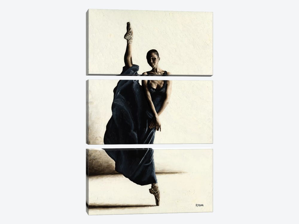 Equilibrium by Richard Young 3-piece Canvas Print