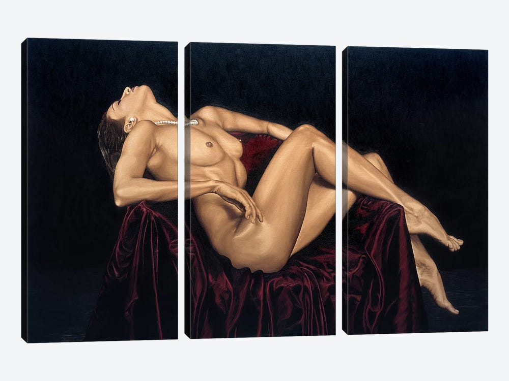 Exquisite by Richard Young 3-piece Canvas Print