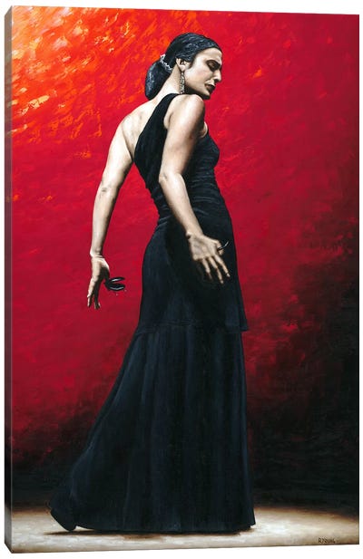 Flamenco Arrogancia Canvas Art Print - Richard Young