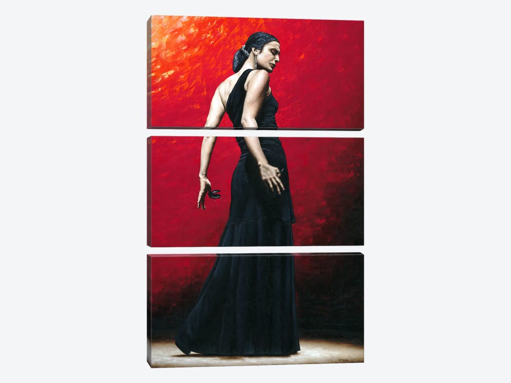 Flamenco Arrogancia by Richard Young 3-piece Canvas Artwork