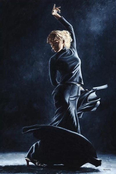 Flamenco Dexterity by Richard Young framed canvas print