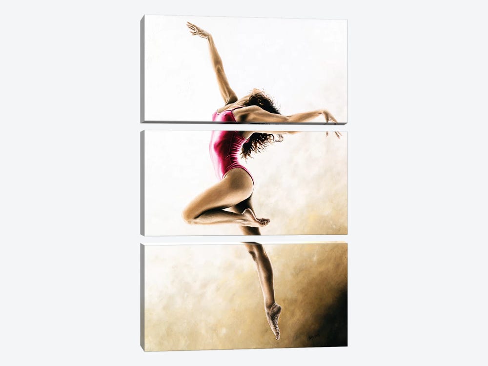 Freedom by Richard Young 3-piece Canvas Art Print