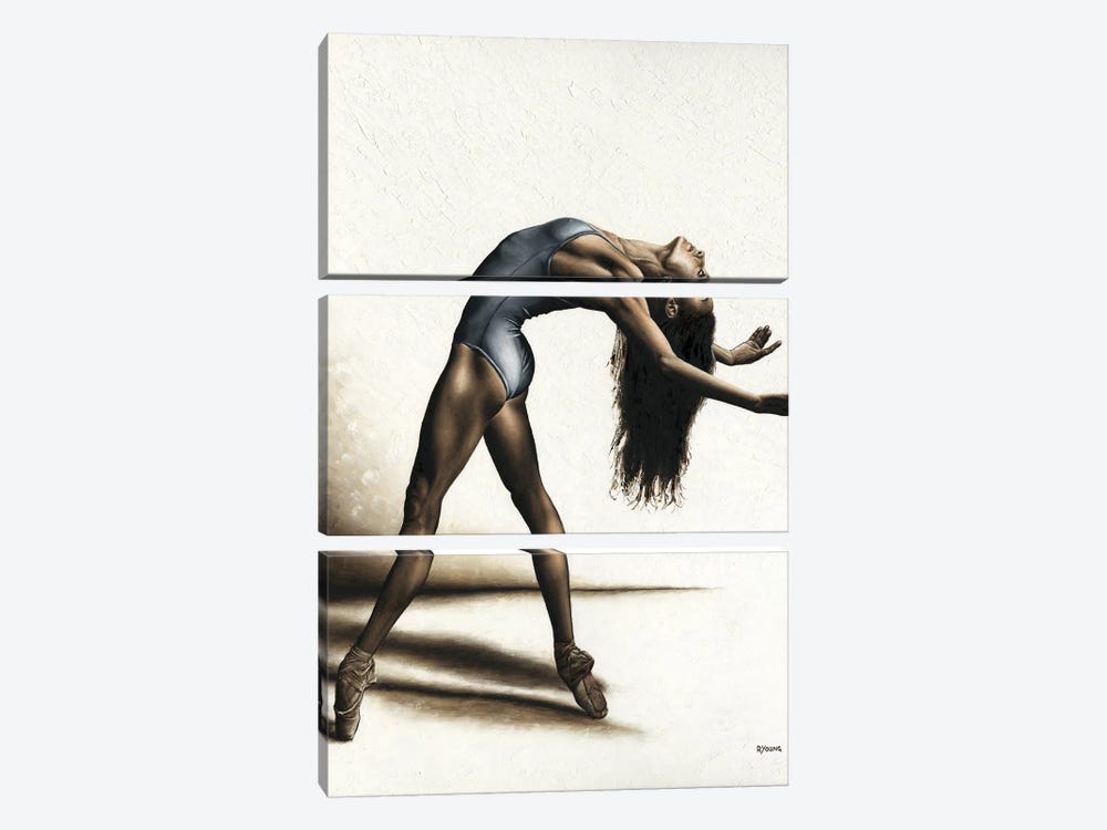 Invitation To Dance by Richard Young 3-piece Art Print