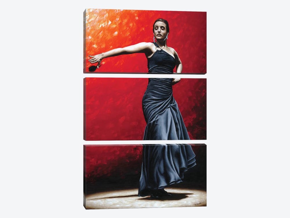 La Nobleza Del Flamenco by Richard Young 3-piece Canvas Wall Art