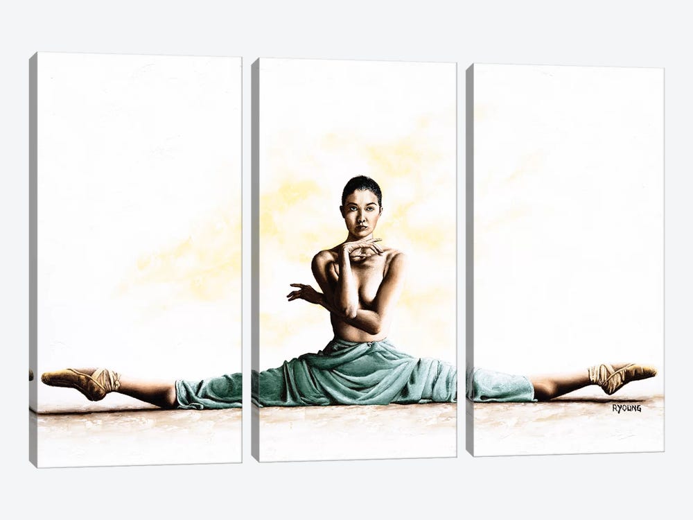 Private Dancer - Mayu Gralińska-Sakai by Richard Young 3-piece Art Print