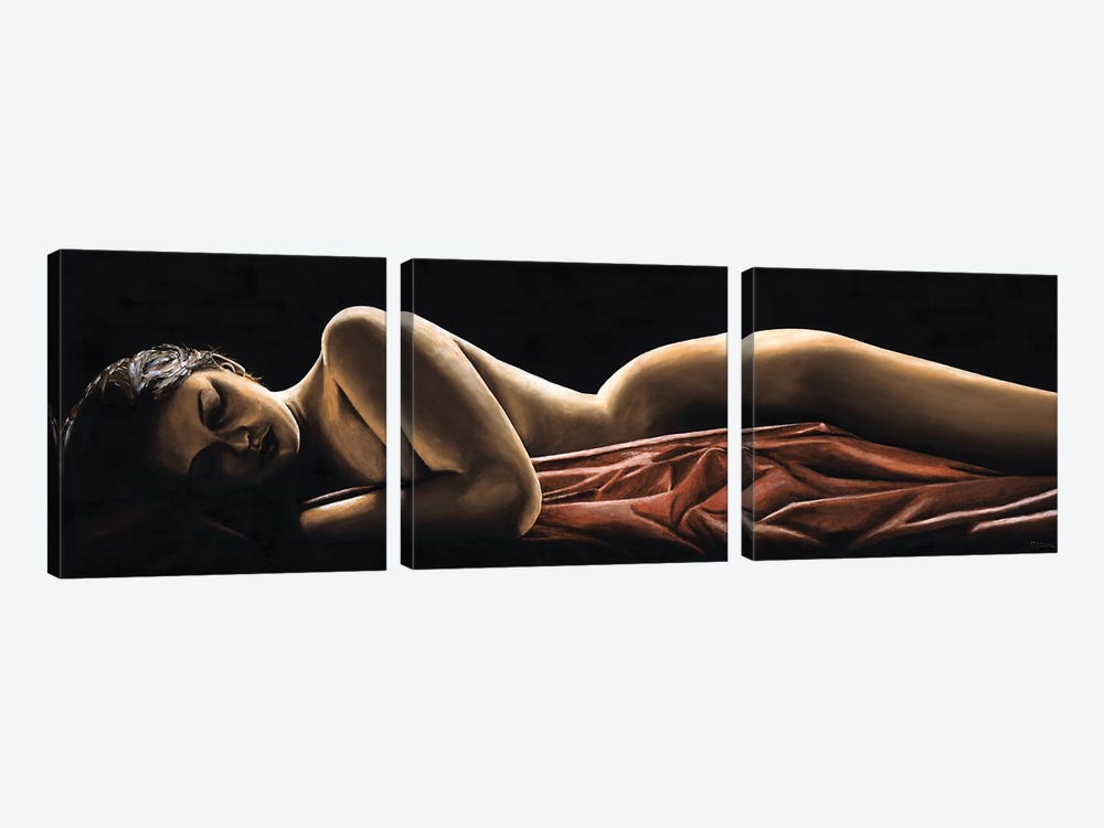 Reverie by Richard Young 3-piece Canvas Artwork