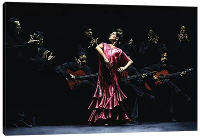 Bailarina Orgullosa Del Flamenco Canvas Art Print - Flamenco Art