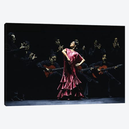 Bailarina Orgullosa Del Flamenco Canvas Print #RYO3} by Richard Young Canvas Print