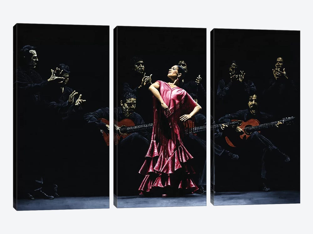 Bailarina Orgullosa Del Flamenco by Richard Young 3-piece Canvas Art