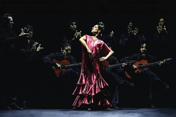 Flamenco: Bailarina Orgullosa Del Flamenco by Richard Young