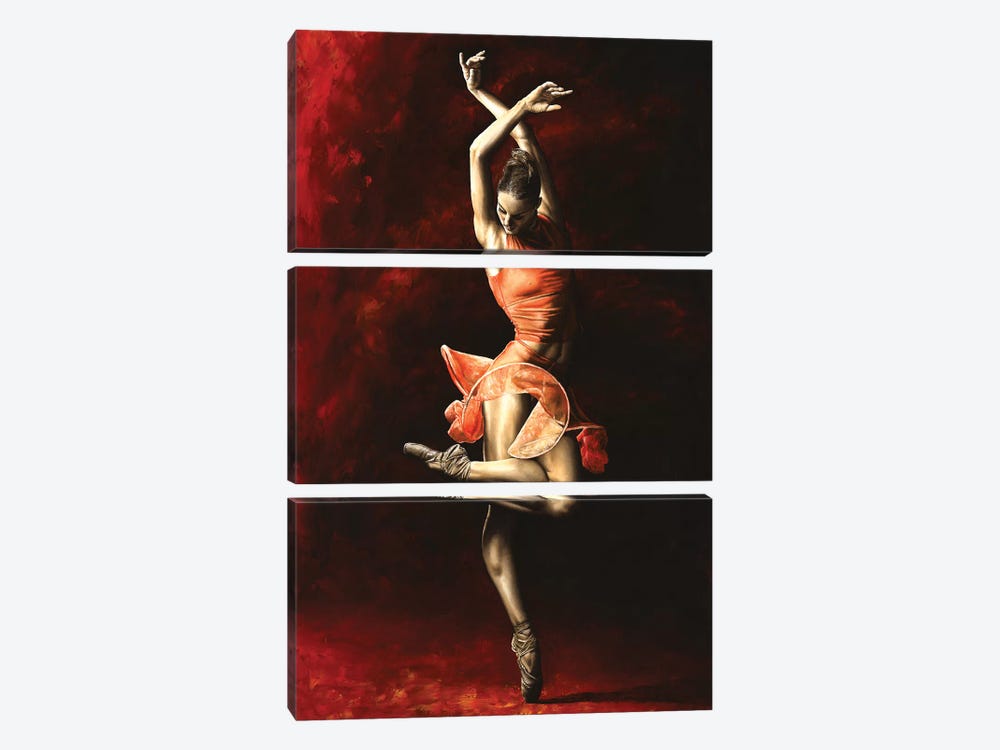 The Passion Of Dance by Richard Young 3-piece Canvas Wall Art