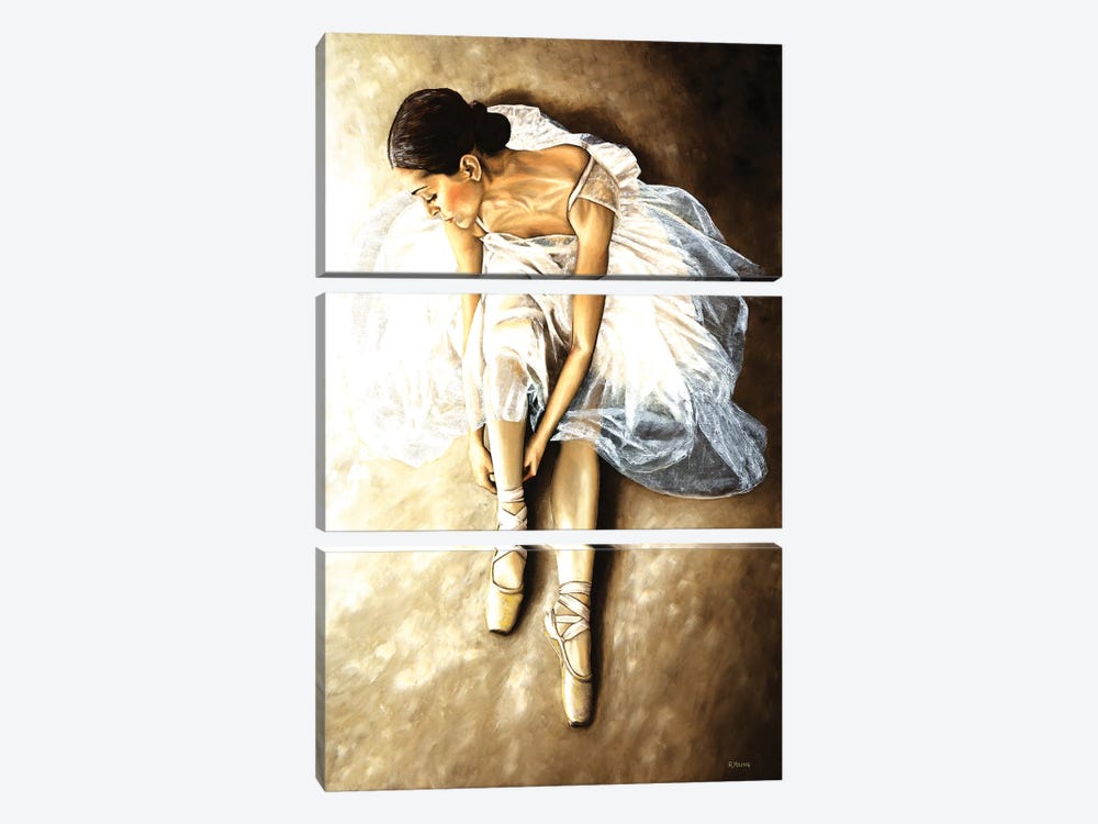 Tranquil Preparation by Richard Young 3-piece Canvas Wall Art