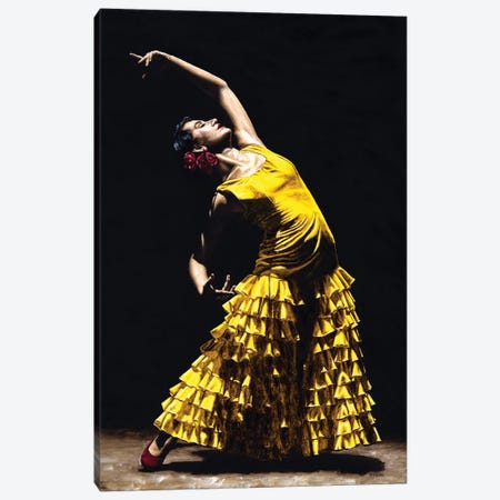 Un Momento Intenso Del Flamenco Canvas Print #RYO49} by Richard Young Canvas Art Print