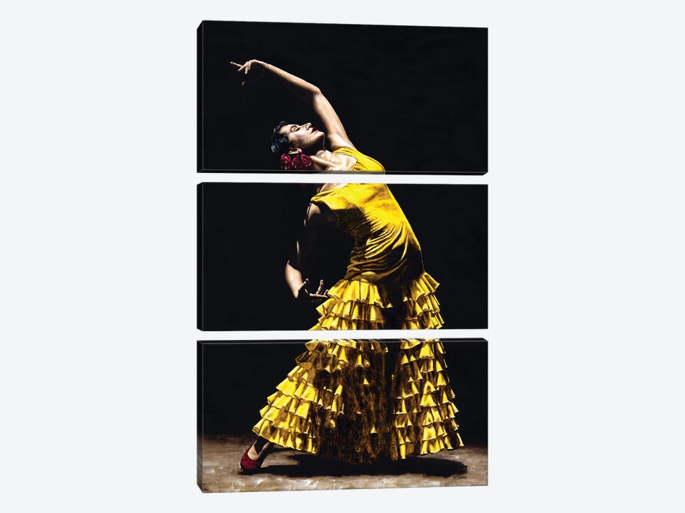 Un Momento Intenso Del Flamenco by Richard Young 3-piece Art Print