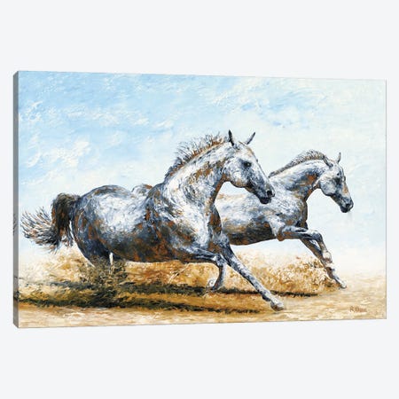 Born Free - Arabian Horses Canvas Print #RYO53} by Richard Young Canvas Artwork