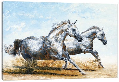 Born Free - Arabian Horses Canvas Art Print - Richard Young