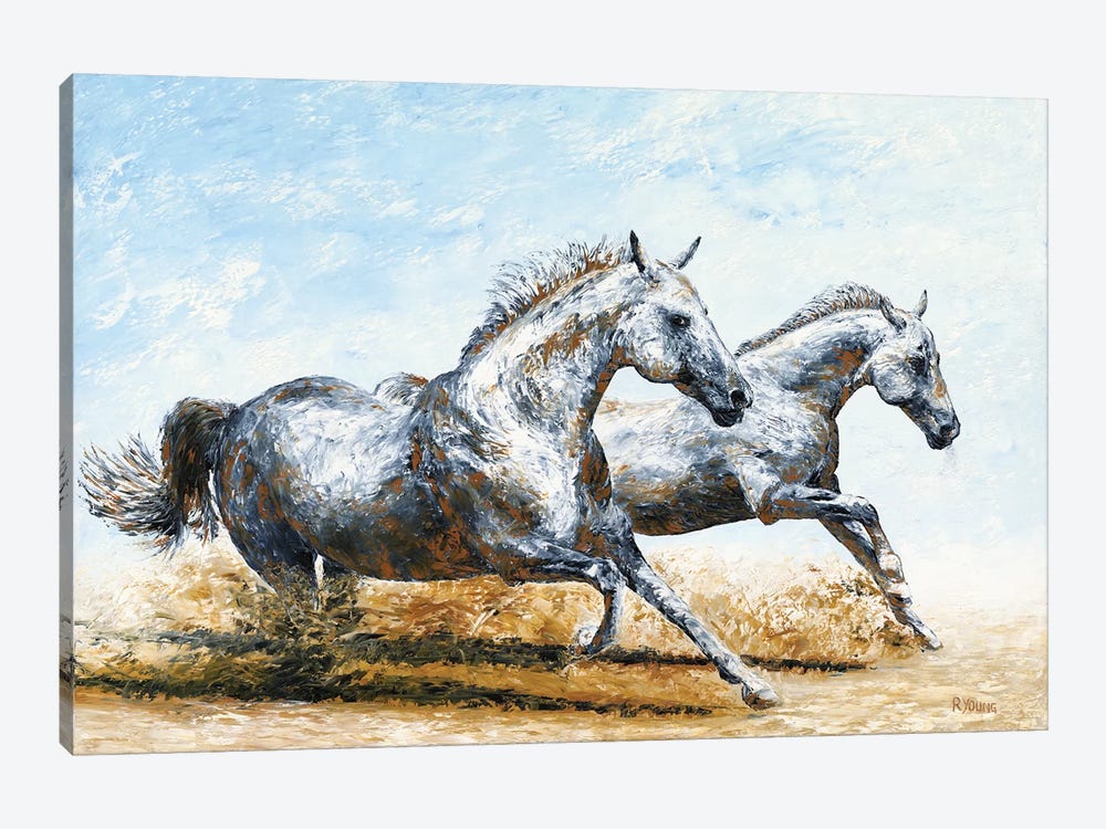Born Free - Arabian Horses by Richard Young 1-piece Canvas Art