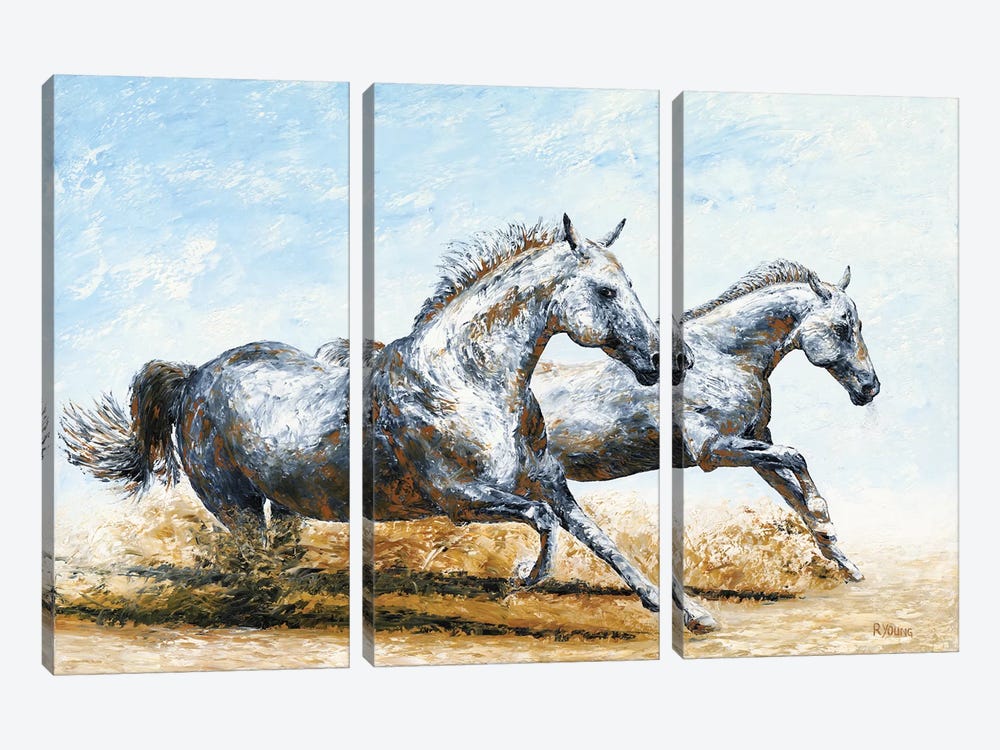 Born Free - Arabian Horses by Richard Young 3-piece Canvas Artwork