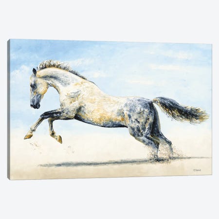Break Free - Arabian Horse Canvas Print #RYO54} by Richard Young Canvas Print