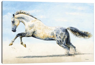 Break Free - Arabian Horse Canvas Art Print - Richard Young