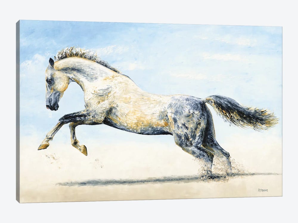 Break Free - Arabian Horse by Richard Young 1-piece Canvas Print