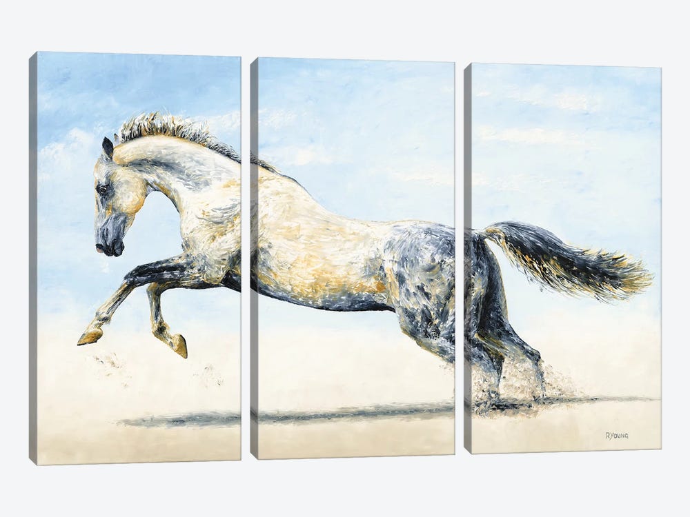 Break Free - Arabian Horse by Richard Young 3-piece Art Print