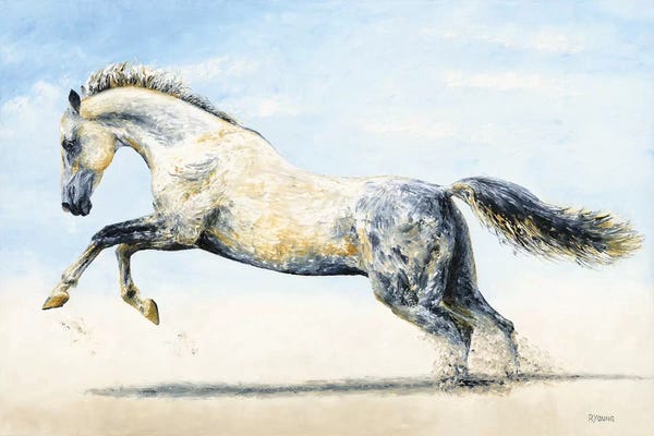 Richard Young: Break Free - Arabian Horse by Richard Young