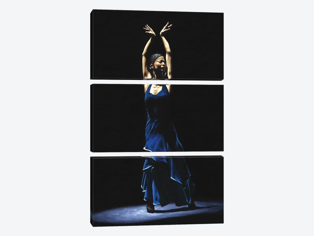 Bailarina A Solas Del Flamenco (Solo Flamenco Dancer) by Richard Young 3-piece Canvas Art Print