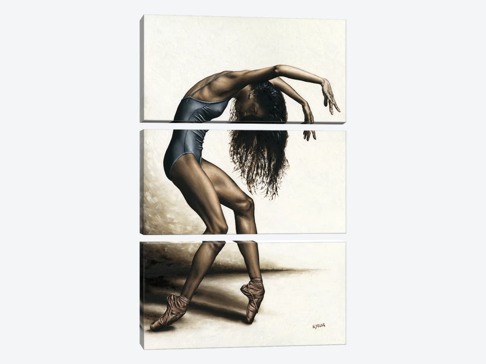 Dance Intensity by Richard Young 3-piece Canvas Artwork