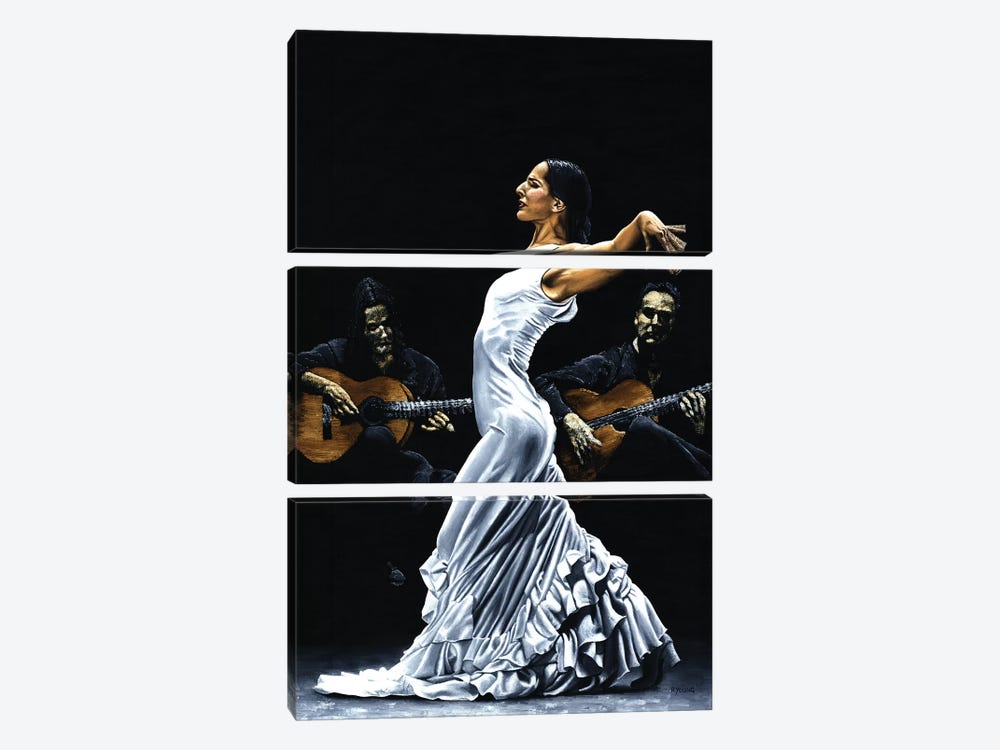 Concentracion Del Funcionamiento Del Flamenco 3-piece Canvas Artwork