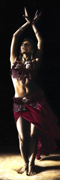 Desert Dancer by Richard Young wall art