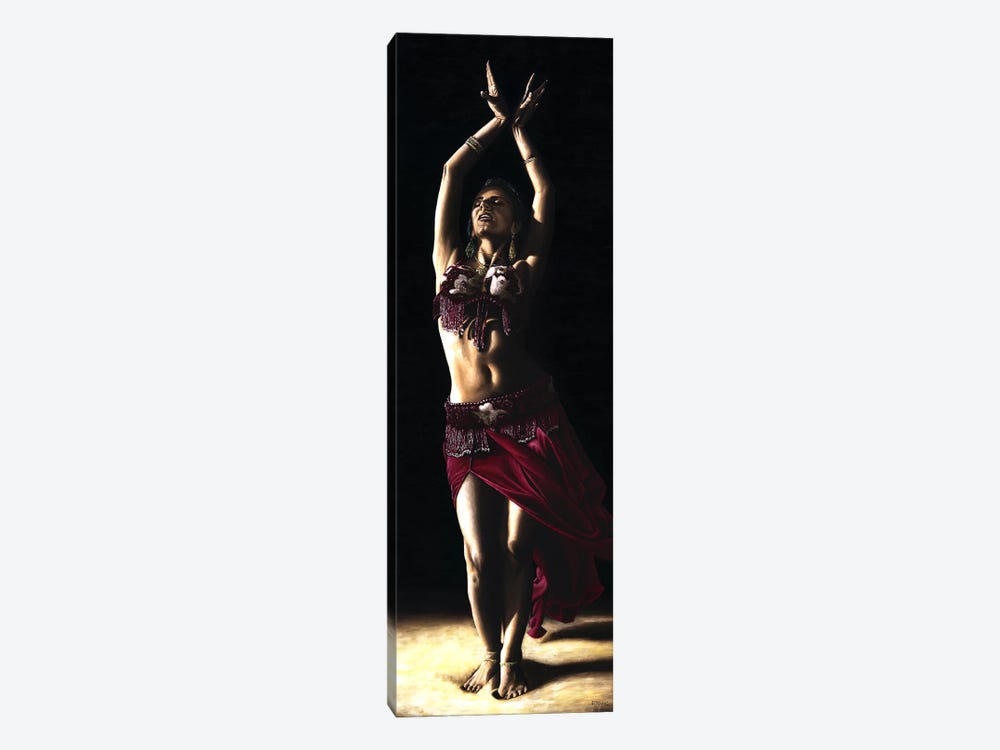 Desert Dancer by Richard Young 1-piece Canvas Print