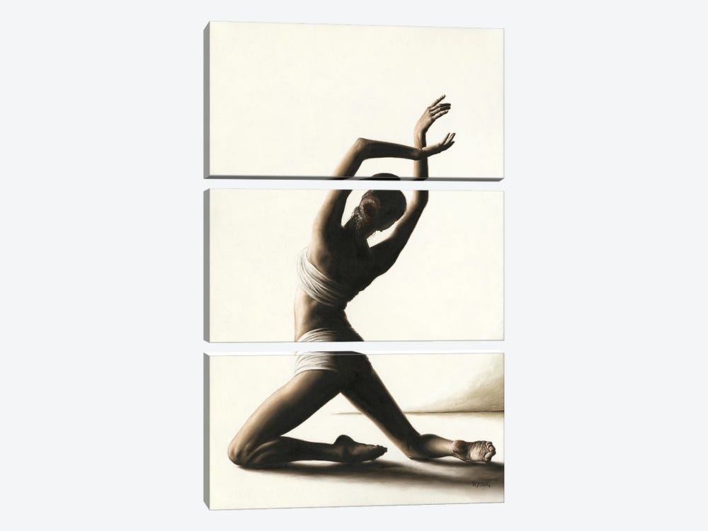 Devotion To Dance by Richard Young 3-piece Canvas Art