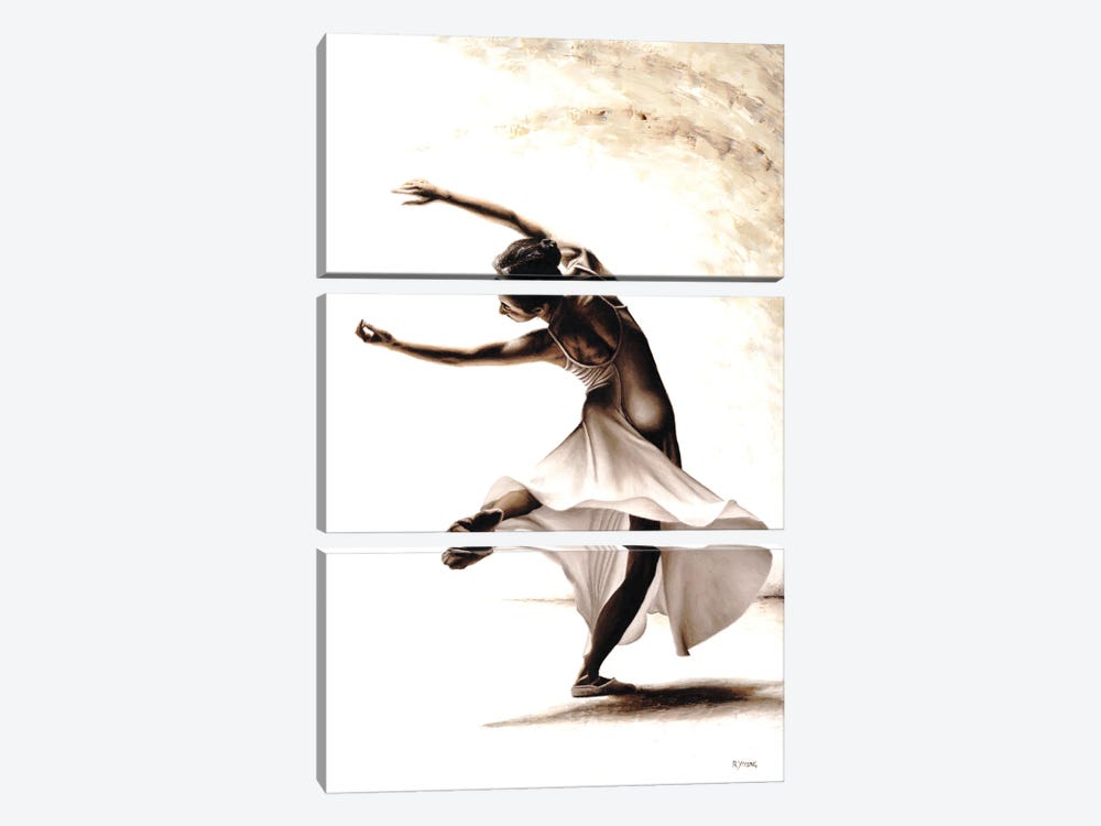 Eclectic Dancer by Richard Young 3-piece Canvas Art Print