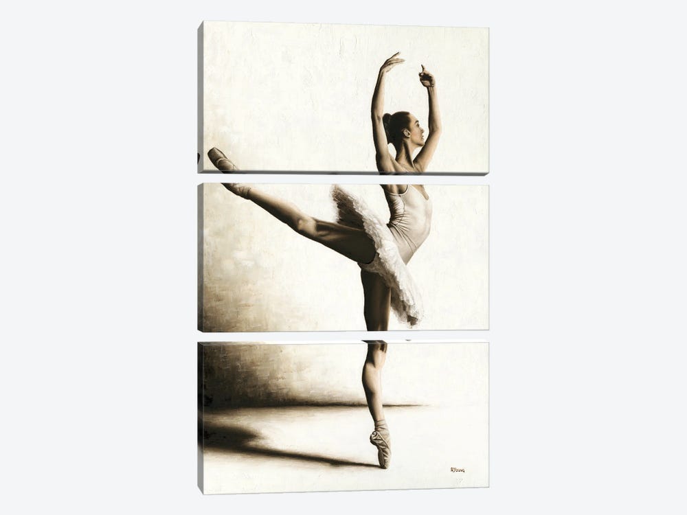 Elegance by Richard Young 3-piece Canvas Wall Art