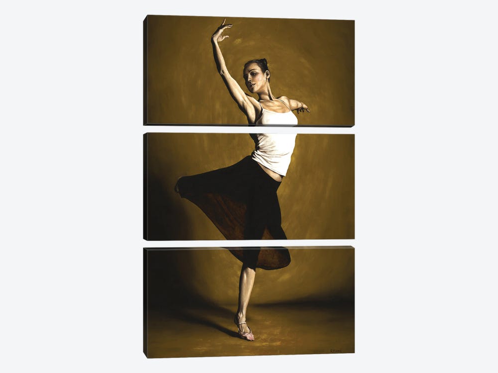 Elegant Dancer by Richard Young 3-piece Canvas Print