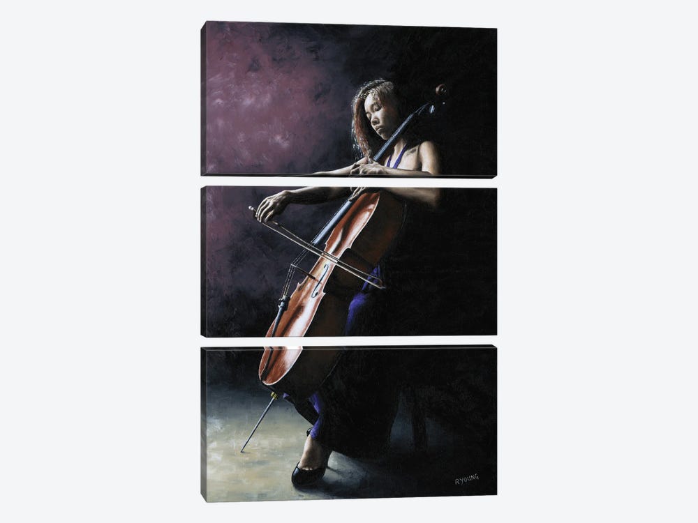 Emotional Cellist by Richard Young 3-piece Canvas Print