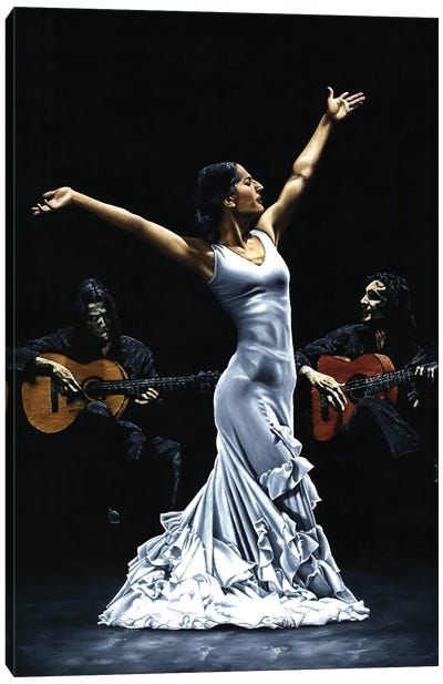 Finale Del Funcionamiento Del Flamenco Canvas Art Print - Flamenco Art