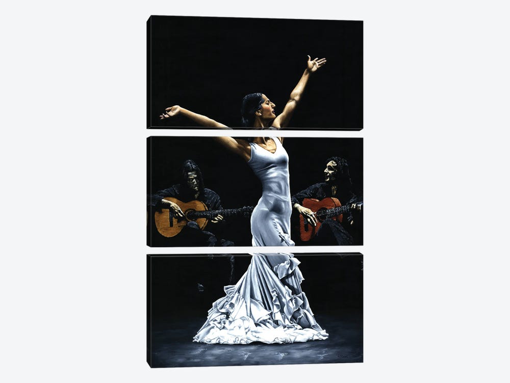 Finale Del Funcionamiento Del Flamenco by Richard Young 3-piece Canvas Wall Art