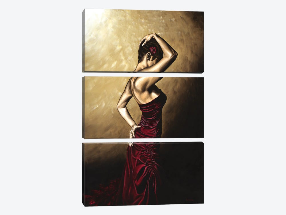 Flamenco Woman by Richard Young 3-piece Canvas Print