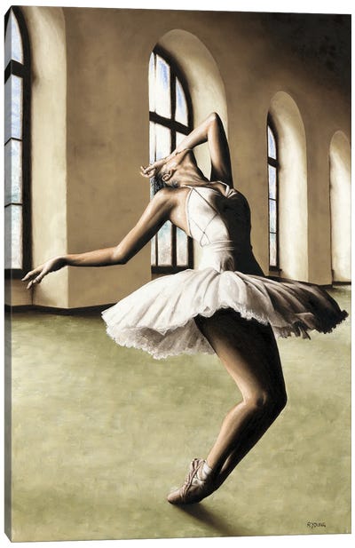 Halcyon Ballerina Canvas Art Print - Richard Young