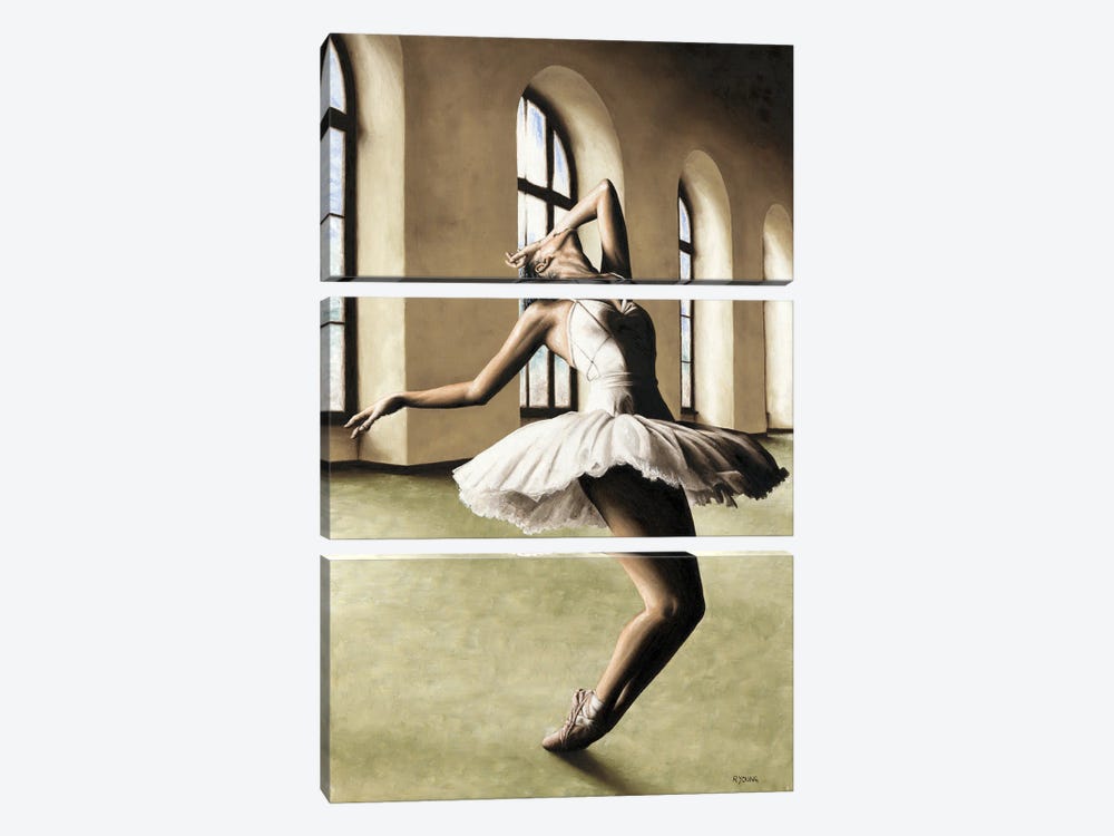 Halcyon Ballerina by Richard Young 3-piece Art Print