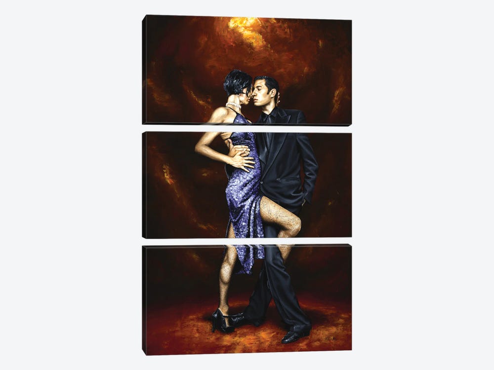 Held In Tango by Richard Young 3-piece Canvas Art