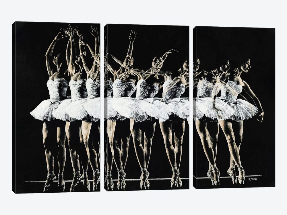 Dance Emotion by Richard Young 3-piece Canvas Art
