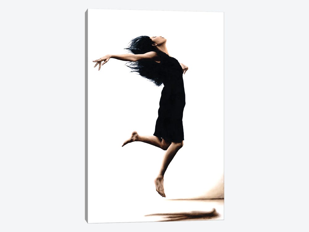 Leap Into The Unknown by Richard Young 1-piece Canvas Wall Art