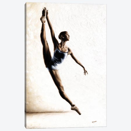 Leap Of Faith Canvas Print #RYO83} by Richard Young Canvas Print